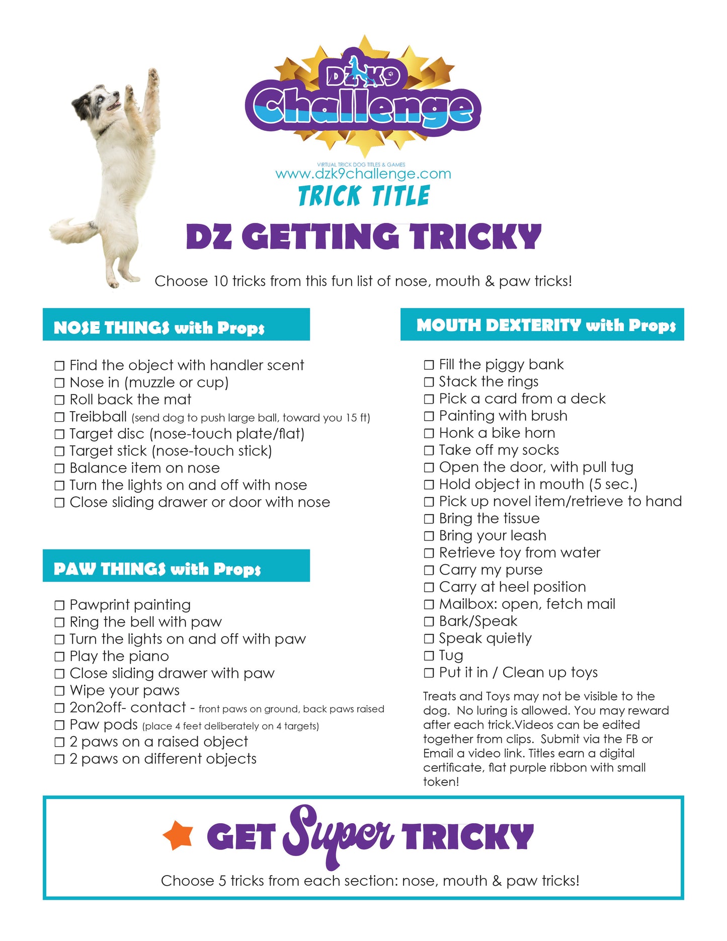 DZK9 CHALLENGE - TRICKS TITLES