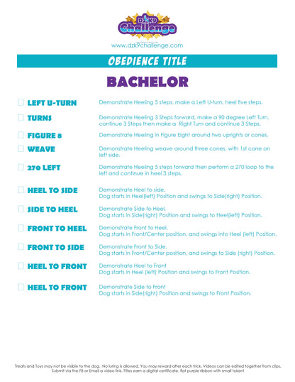 DZK9 CHALLENGE - OBEDIENCE