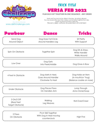 DZK9 CHALLENGE - VERSA (MIXED SKILLS)