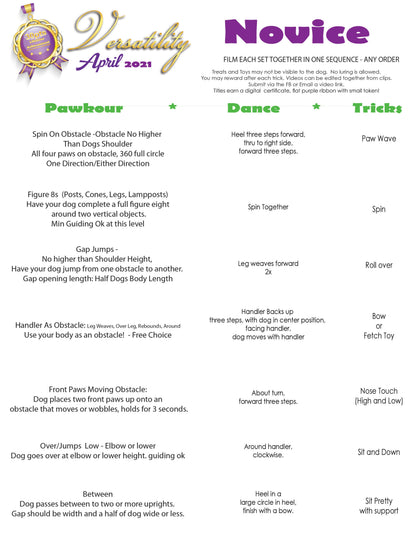 DZK9 CHALLENGE - VERSA (MIXED SKILLS)