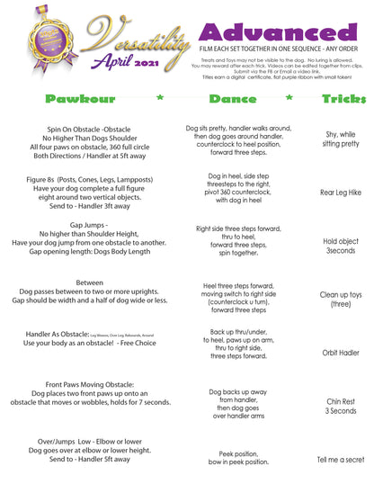 DZK9 CHALLENGE - VERSA (MIXED SKILLS)