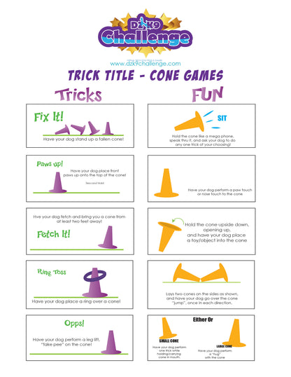 DZK9 CHALLENGE - TRICKS TITLES