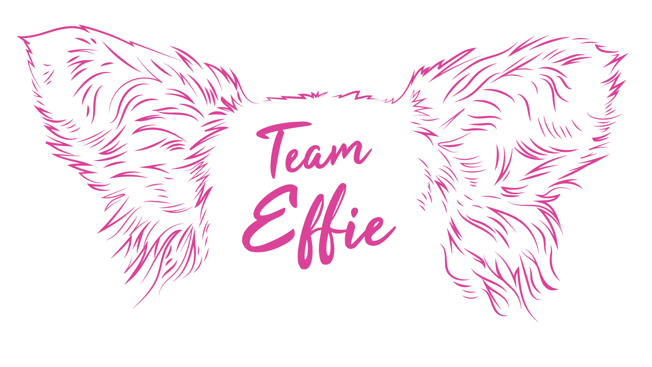 EFFIE-  T-Shirts & More!