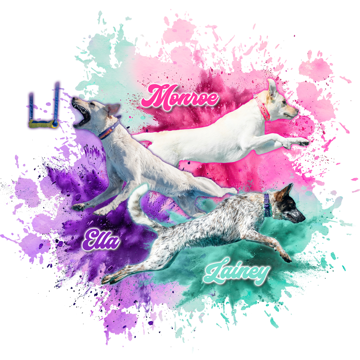 T-Shirts & More! Ella, Monroe, Lainey