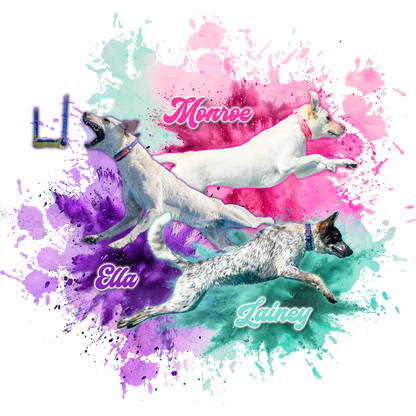 T-Shirts & More! Ella, Monroe, Lainey