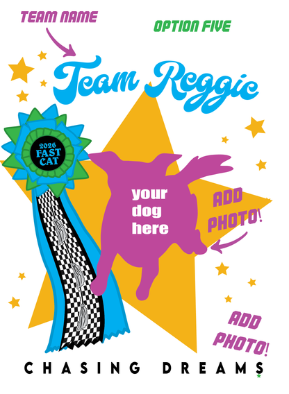 CUSTOM 2026 FAST CAT