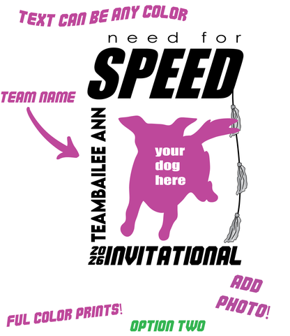 CUSTOM 2026 FAST CAT