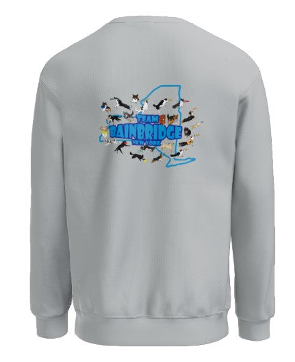 NEW YORK DISC DOGS - GRAVEL SWEATSHIRT