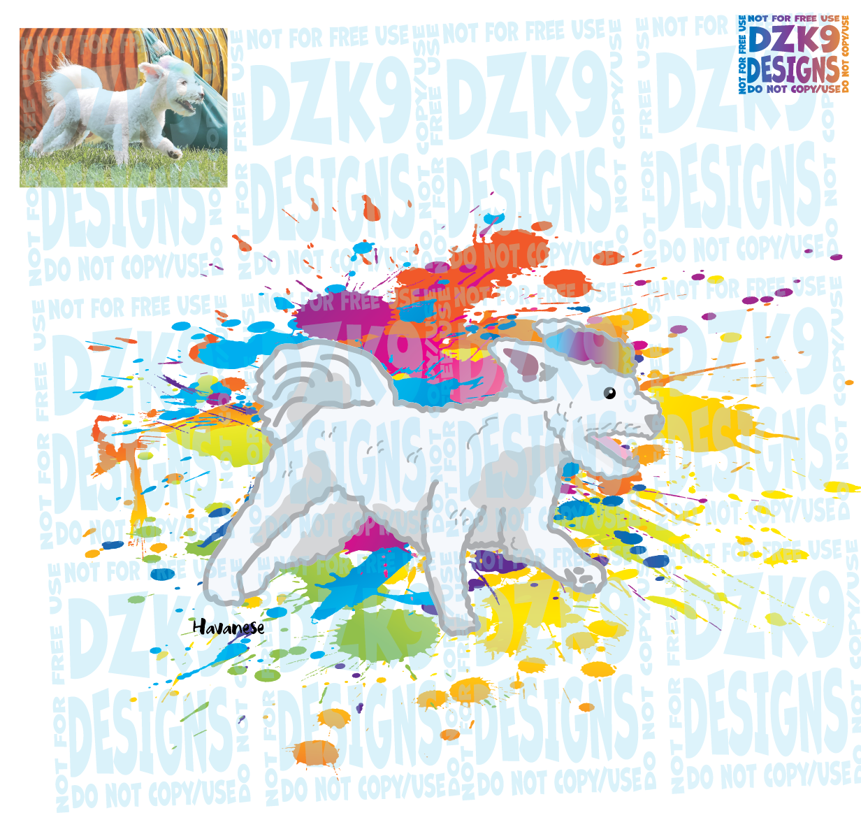 COLOR SPLASH  BREEDS COLLECTION - HandDrawn