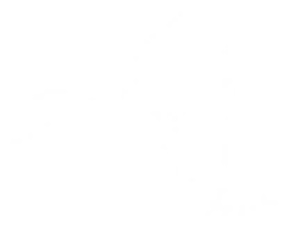 NEW YORK DISC DOGS - Ladies VNeck -   Medium Grey