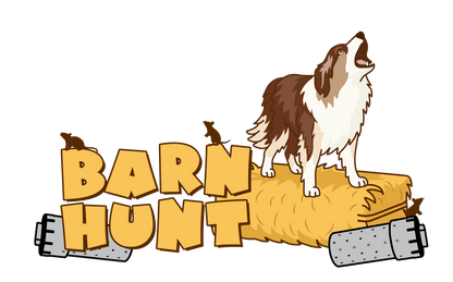 BARN HUNT - JAMIN