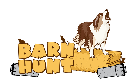 BARN HUNT - JAMIN