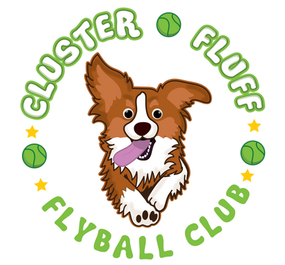 CLUSTER FLUFF FLYBALL SHIRTS