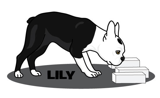 LILY BOSTON -   T-Shirts & More!