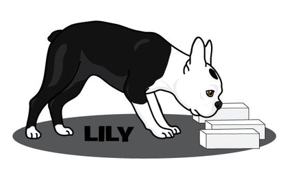 LILY BOSTON -   T-Shirts & More!