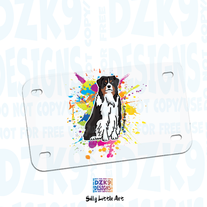 AUSSIE COLOR SPLASH COLLECTION