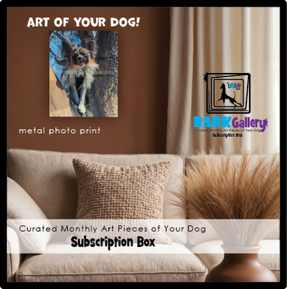 BARK GALLERY  - MONTHLY BOX (6 MONTHS)
