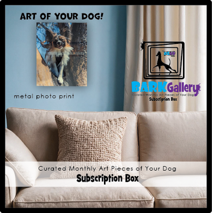 BARK GALLERY  - MONTHLY BOX (6 MONTHS)