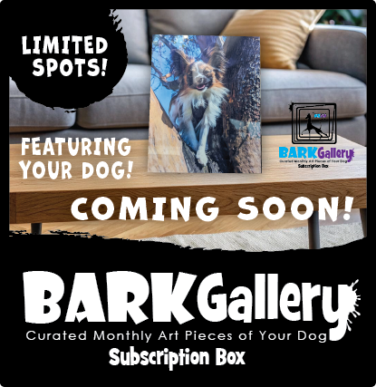 BARK GALLERY  - MONTHLY BOX (6 MONTHS)