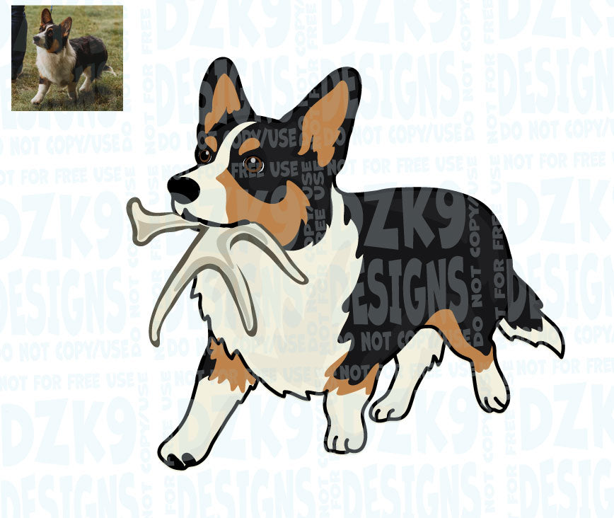 NASDA BREEDS COLLECTION