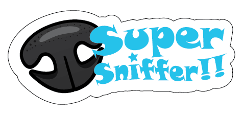 NOSEWORK STICKERS
