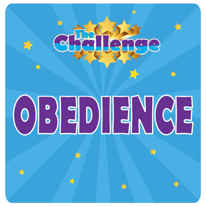DZK9 CHALLENGE - OBEDIENCE