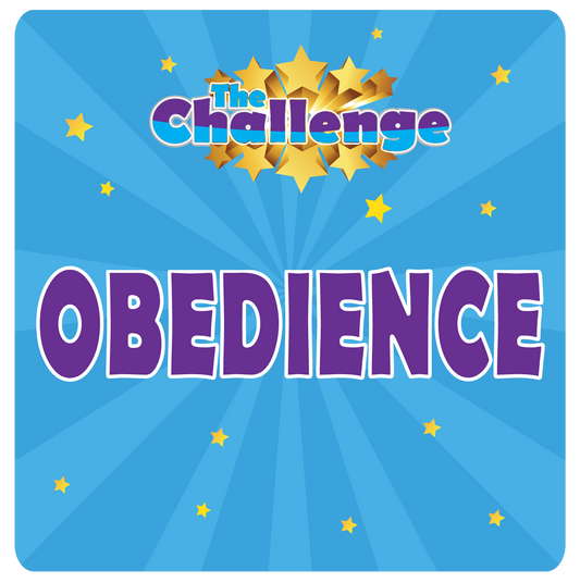 DZK9 CHALLENGE - OBEDIENCE