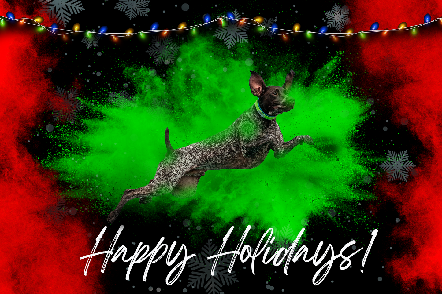 HOLIDAY CARD ARTWORK - PHOTO EDIT