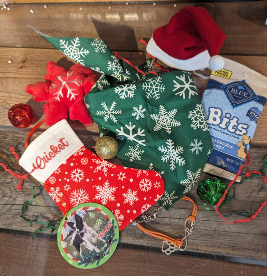 Puppy First Christmas