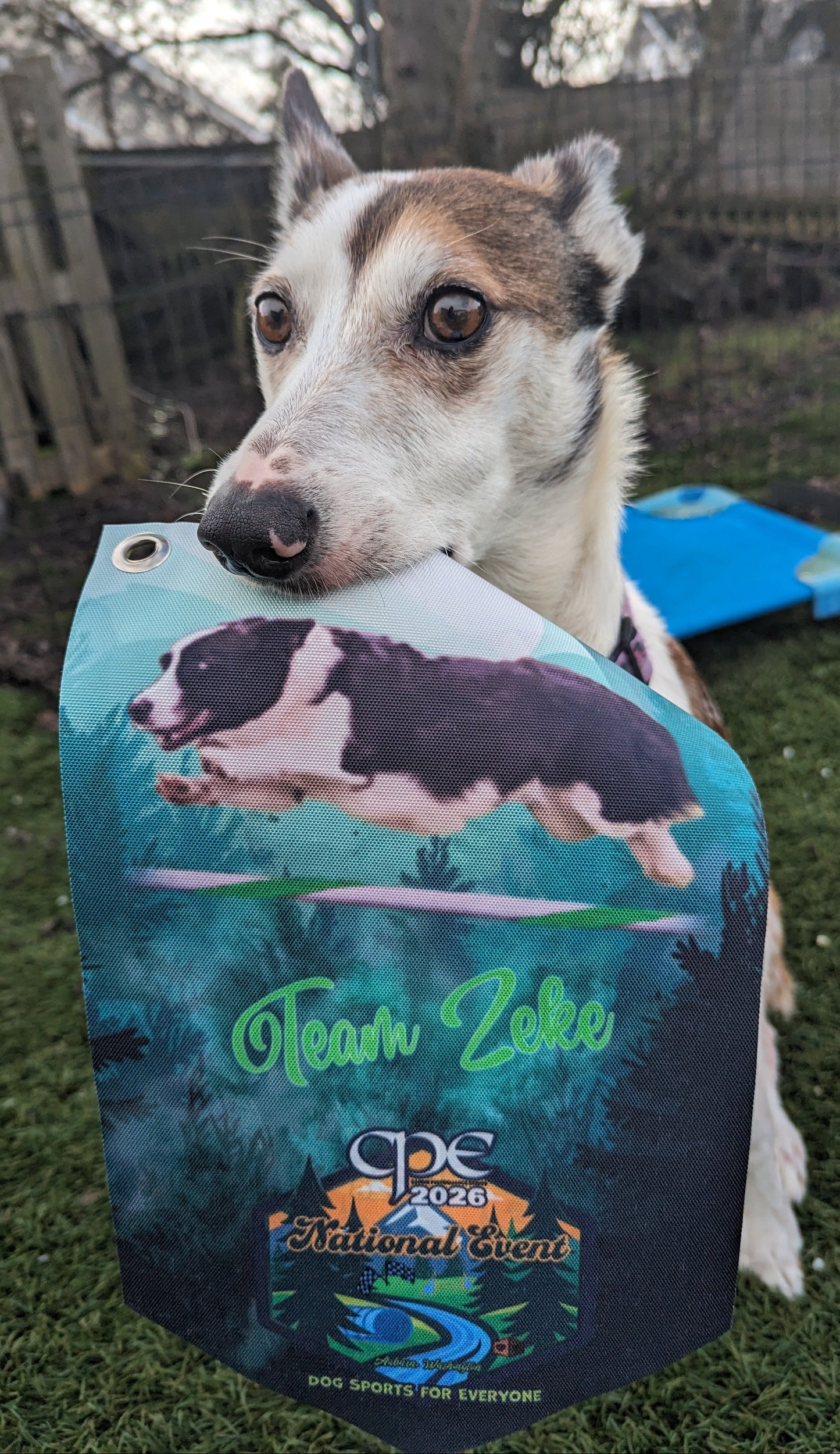 CPE MINI BANNER