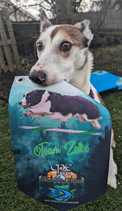 CPE MINI BANNER