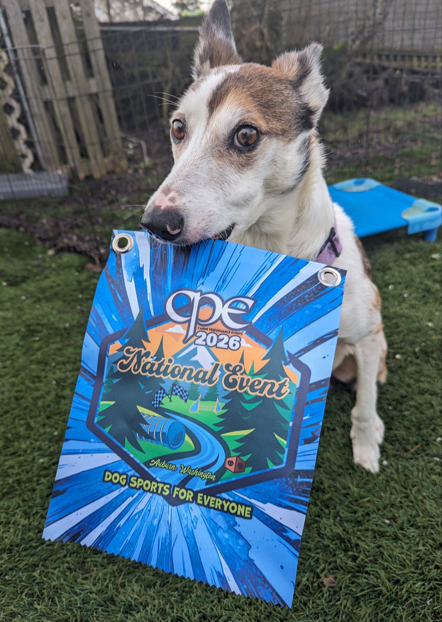 CPE MINI BANNER
