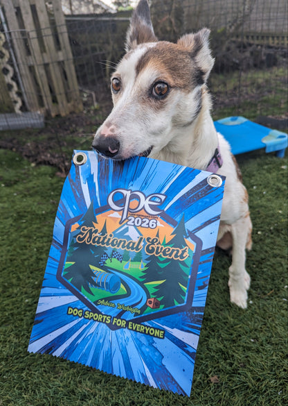 CPE MINI BANNER
