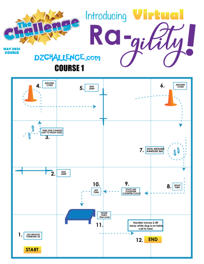 DZK9 CHALLENGE: RA-GILITY  RALLY AND AGILITY CROSS FUN!