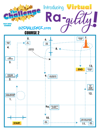 DZK9 CHALLENGE: RA-GILITY  RALLY AND AGILITY CROSS FUN!
