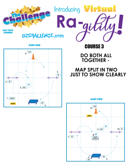 DZK9 CHALLENGE: RA-GILITY  RALLY AND AGILITY CROSS FUN!