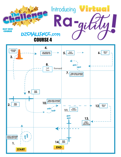 DZK9 CHALLENGE: RA-GILITY  RALLY AND AGILITY CROSS FUN!