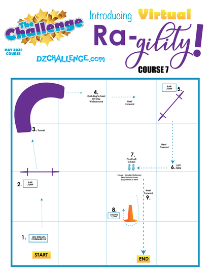 DZK9 CHALLENGE: RA-GILITY  RALLY AND AGILITY CROSS FUN!
