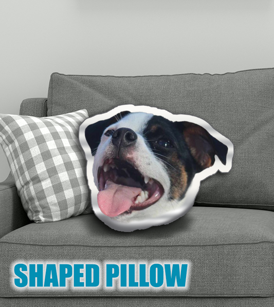 Super Rupert PILLOW