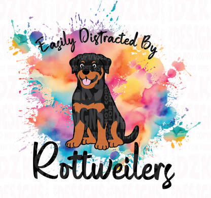 Distracted by (ROTTIE)