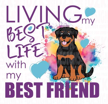 BEST FRIEND (ROTTIE)