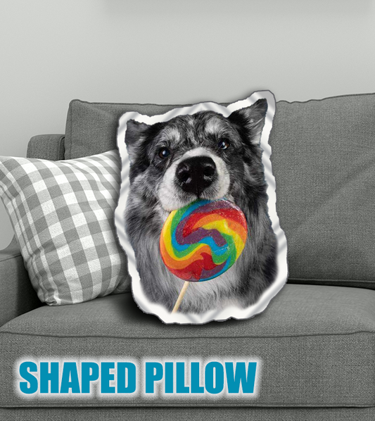 SULLIVAN pillow