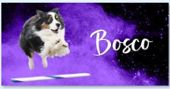 Bosco Small Banner