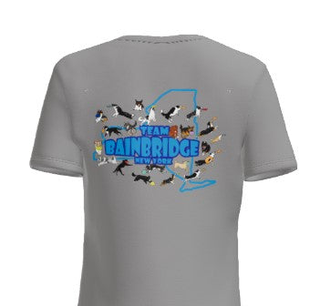 NEW YORK DISC DOGS - Ladies VNeck -   Medium Grey