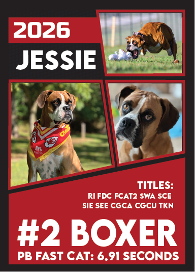 **CUSTOM TRADING CARDS**