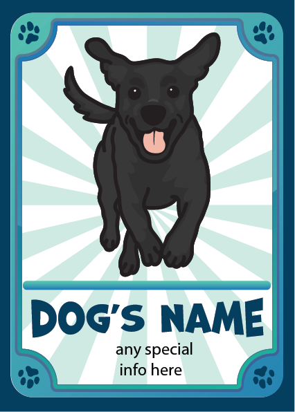 **CUSTOM TRADING CARDS**