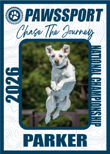 **CUSTOM TRADING CARDS**