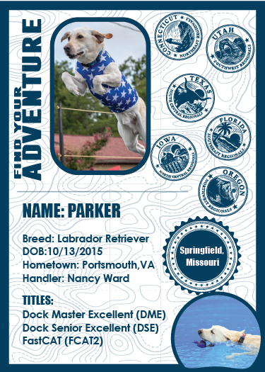 **CUSTOM TRADING CARDS**