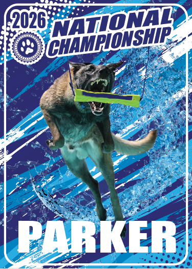 **CUSTOM TRADING CARDS**