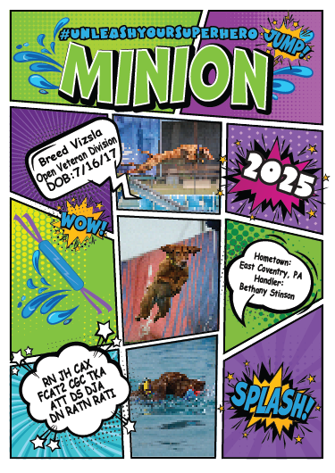 **CUSTOM TRADING CARDS**